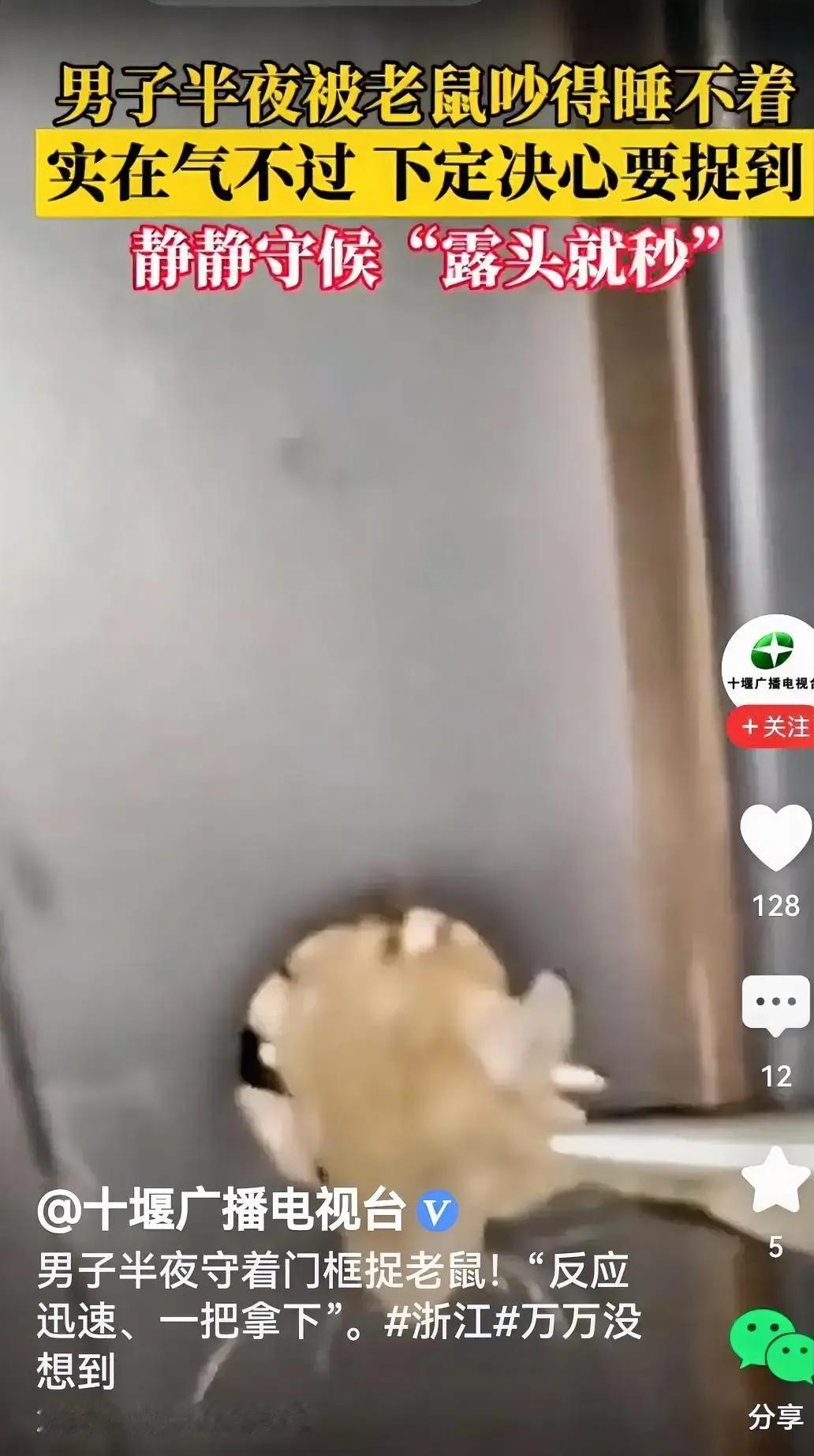 一把拿下
嗯！老鼠半夜不消停，男子不胜其扰，决定将其拿下。咋拿下呢？躲老鼠经过的
