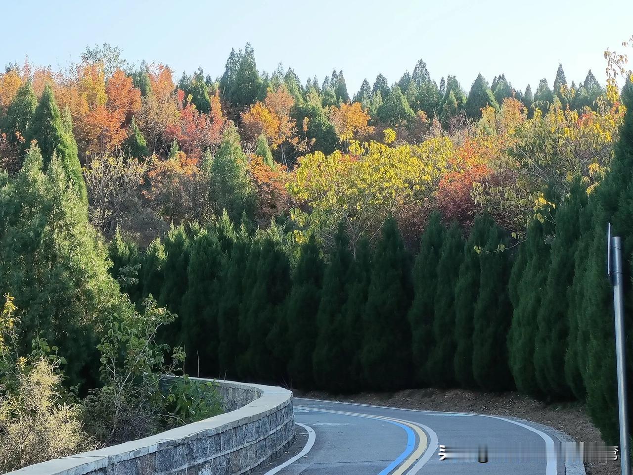 这波甲流传染性太强，
昨天同事得了甲流，我们就说了几句话，期间还都戴着口罩。
晚