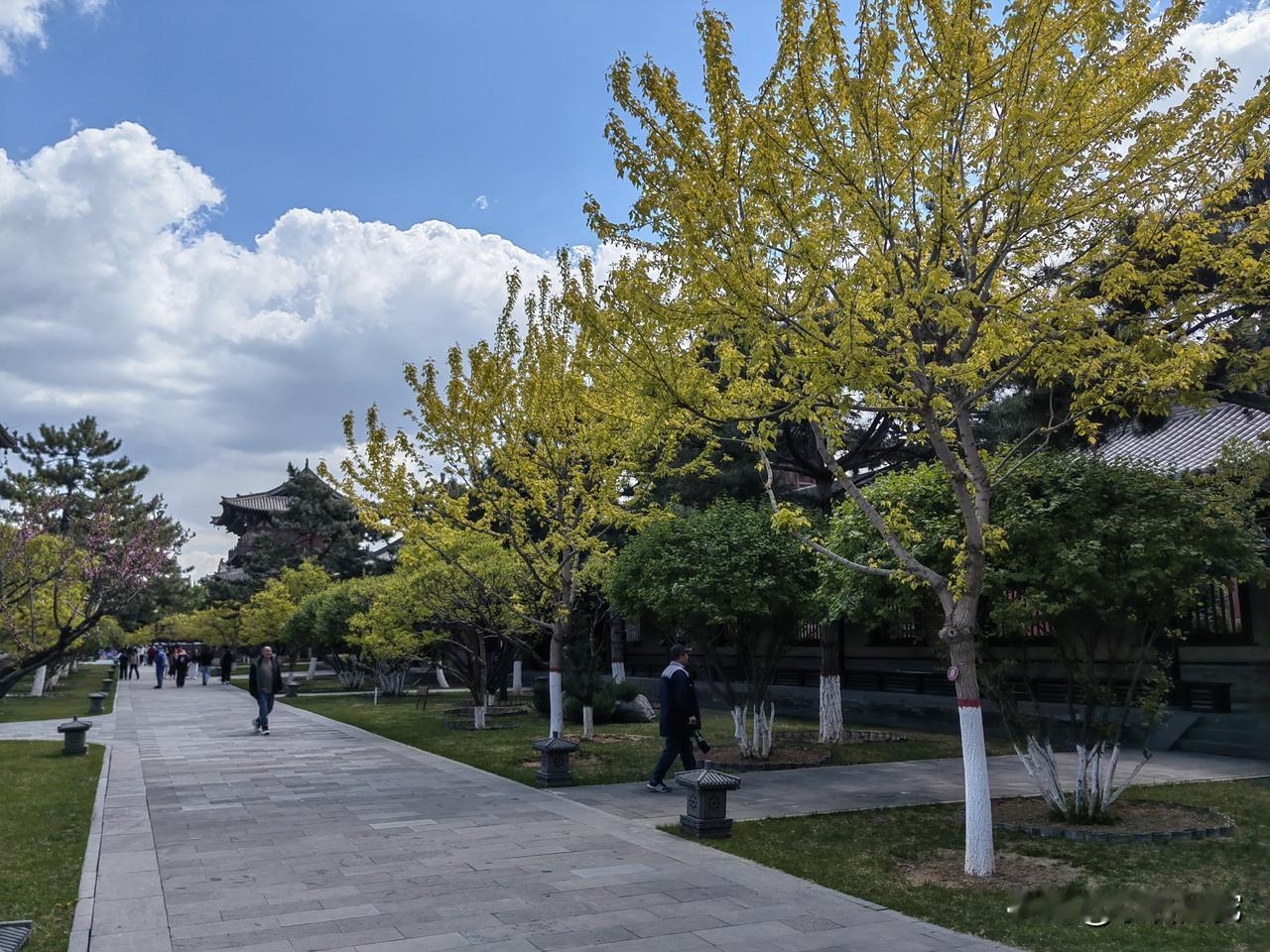 卷帘听夜雨
开窗赏月影

生活难得闲适，无论你愿不愿意，都会被时代的潮流裹挟，不