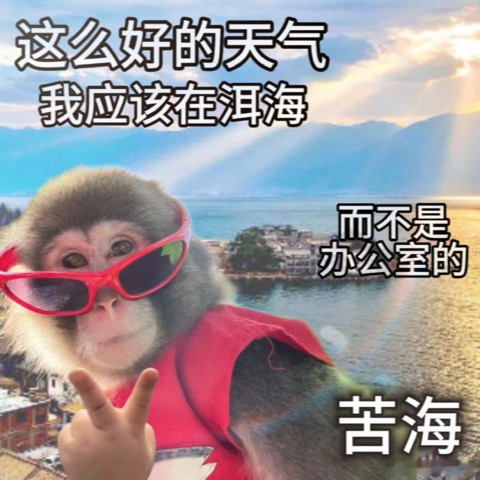 啊啊啊啊啊啊啊啊啊啊啊啊啊不想上班