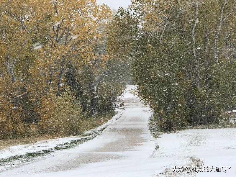今天是九月初十民间俗语有
九月初十淋了头，一冬雨雪路难行
九月初十大晴天，一直干