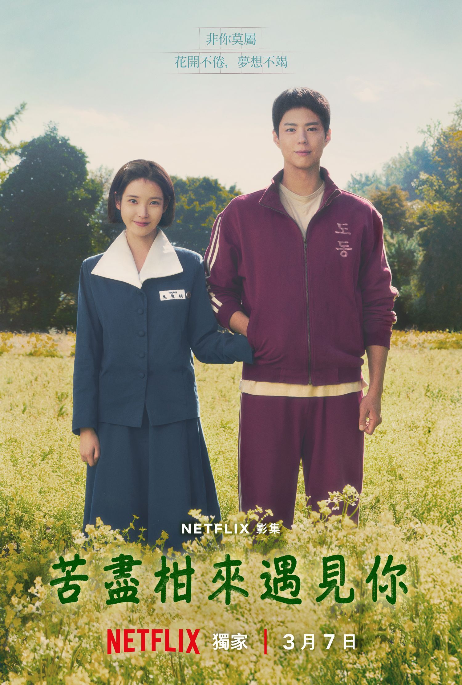 《苦尽柑来遇见你》编剧执笔和导演执导之前的作品：《山茶花开时》《三流之路》《信号