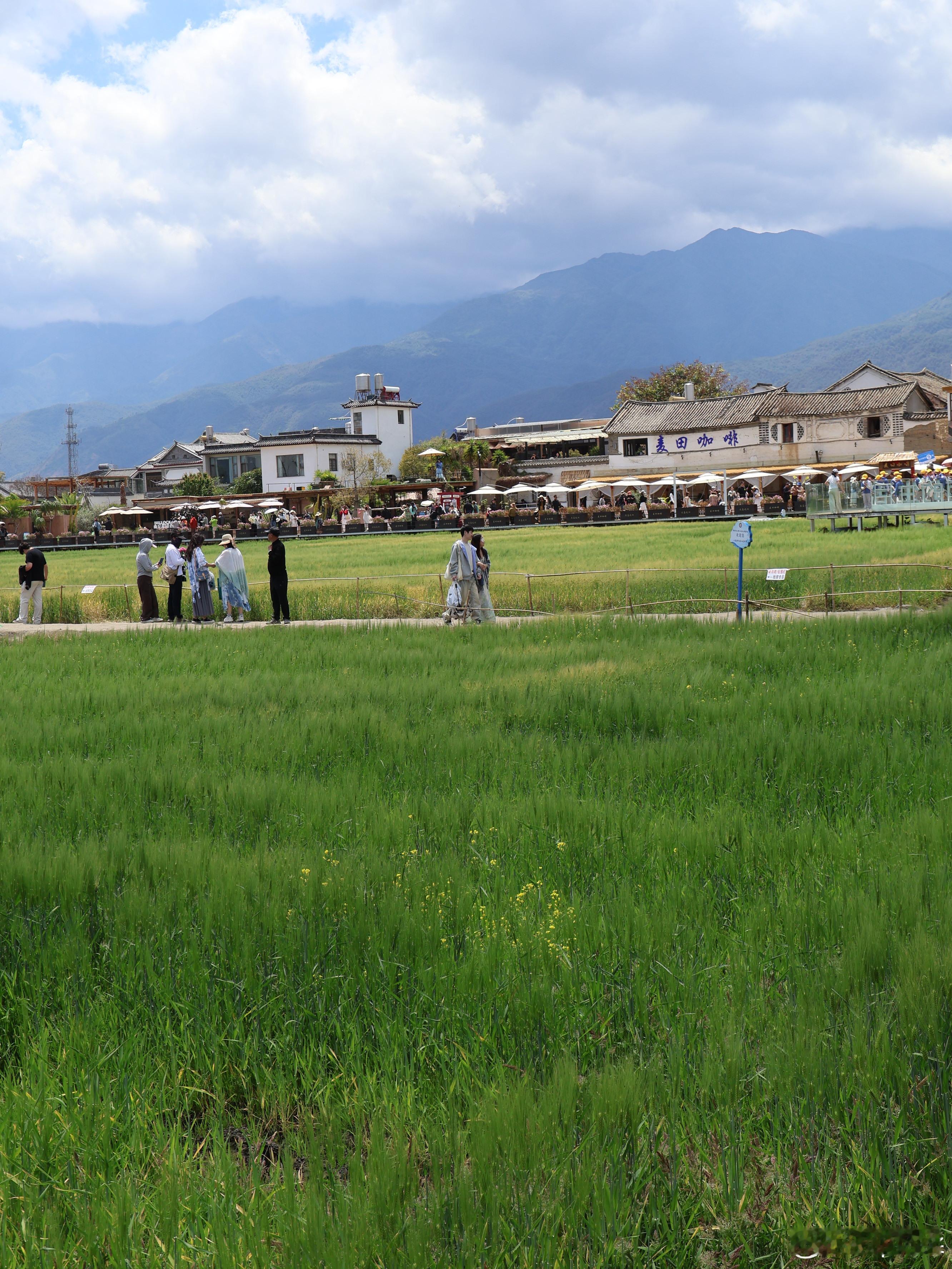 人间四月天｜喜洲亲子游，四月遛娃天花板👨👩👧带娃来大理，四月的喜洲绝对是首