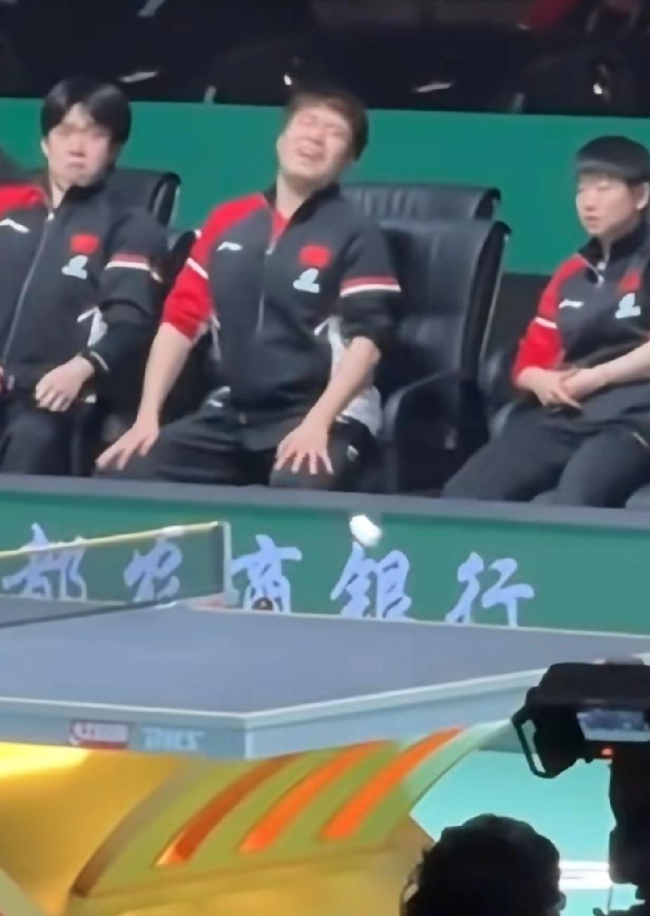 国乒看台“演技派”上线！大迪丢球，男队表情痛苦如“中枪”
 
国乒队的看台日常，
