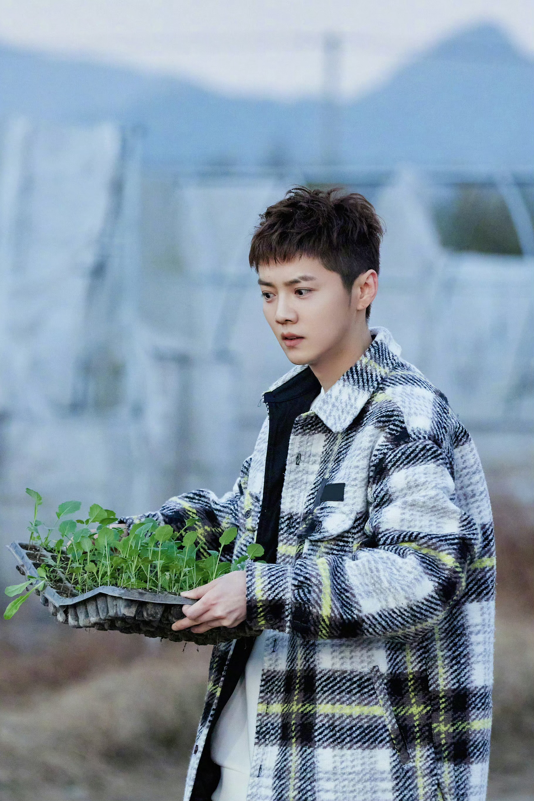 鹿晗哈哈哈哈哈 🦌鹿晗gapday音乐节 爱的温度在继续  一切都还来得及  