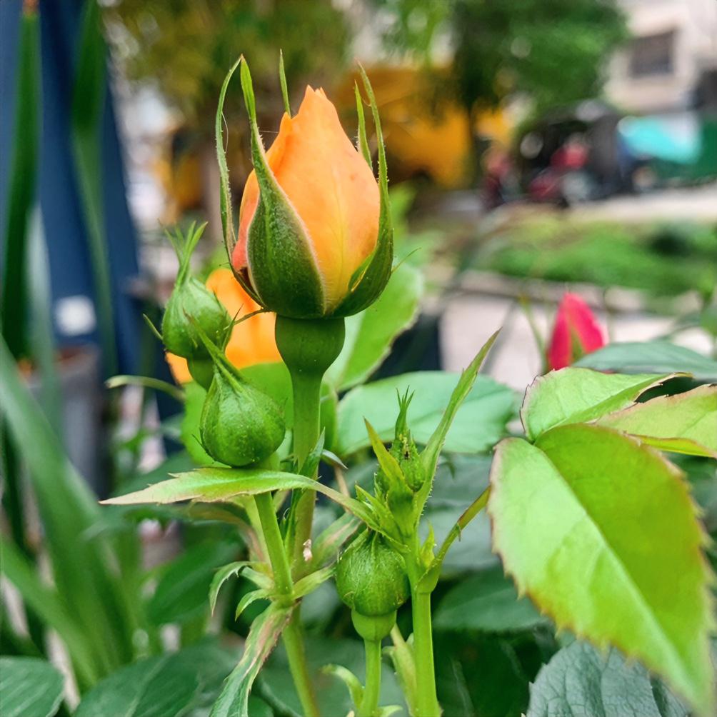 一位85岁退休院士说得特别现实：人到晚年，一定要学会给自己做减法。

五十岁看淡