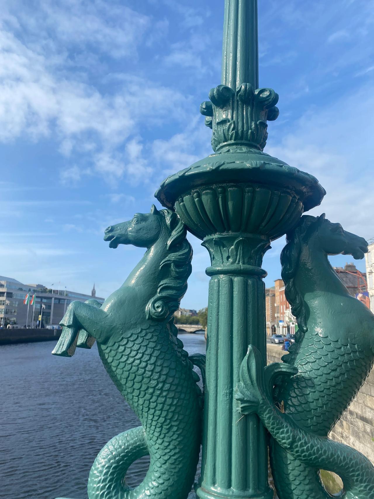 爱尔兰的马鱼！