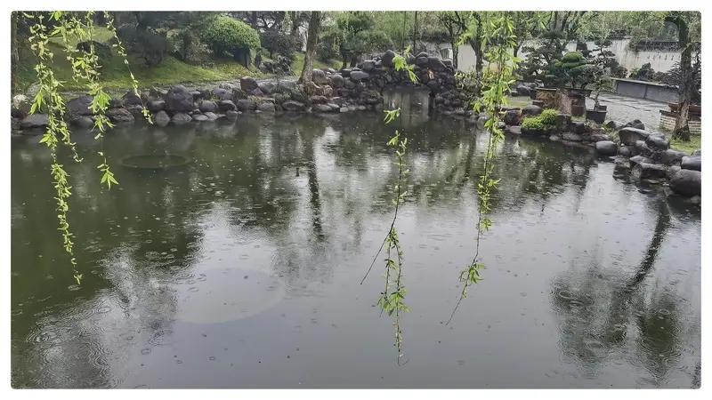 “春风不解江南雨”，这上联意境悠远，要对出佳下联还真有点难。我试着对个“秋雾能知
