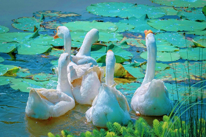 人内心的幸福感来自对既有生活状态的随遇而安和感恩知足。——卡耐基《女人的格局决定