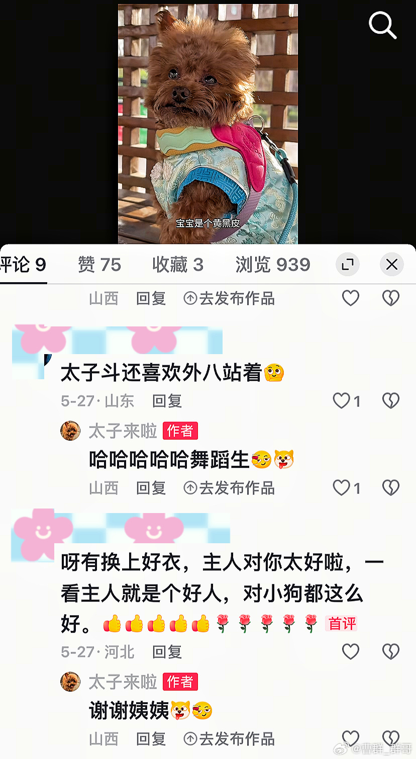 小狗治愈全世界‼️被坚定爱过的人，也会把更多的爱传递给小狗。没有被好好对待的人，