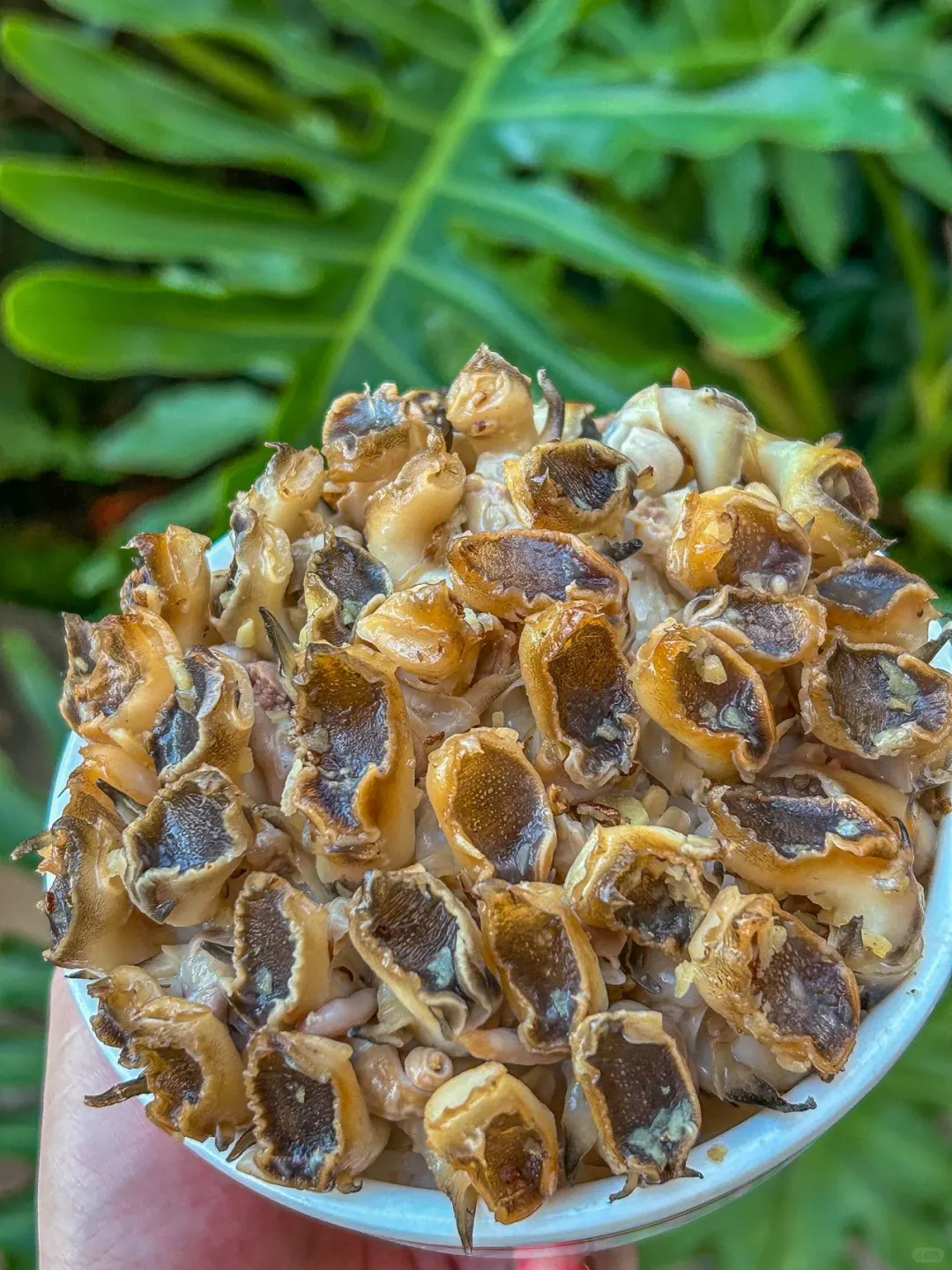 感谢何超莲！！！确实是深圳数一数二的……