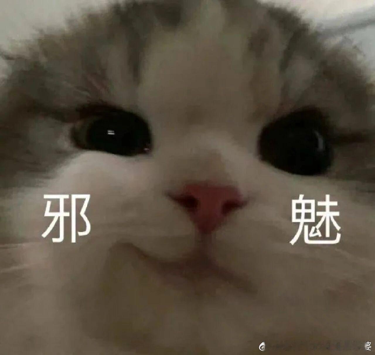 高市赢了日本输了大家有没有发现，很久没有日本电视机、冰箱、洗衣机、微波炉、手机、