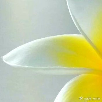 生活手记【广东省消委会】提醒您：今天是国际消费者权益日，学法懂法护权益，理性消费