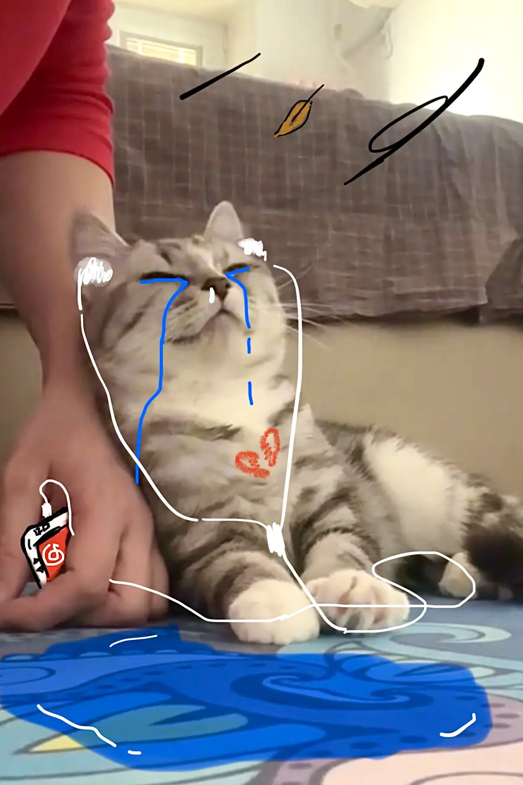 咪的痛，谁懂？