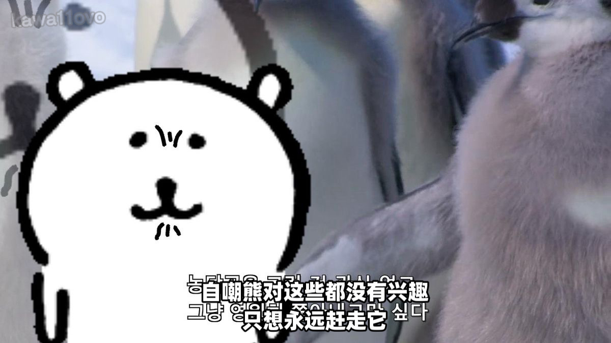 在吗，我是自嘲熊，没收到？ ​​​