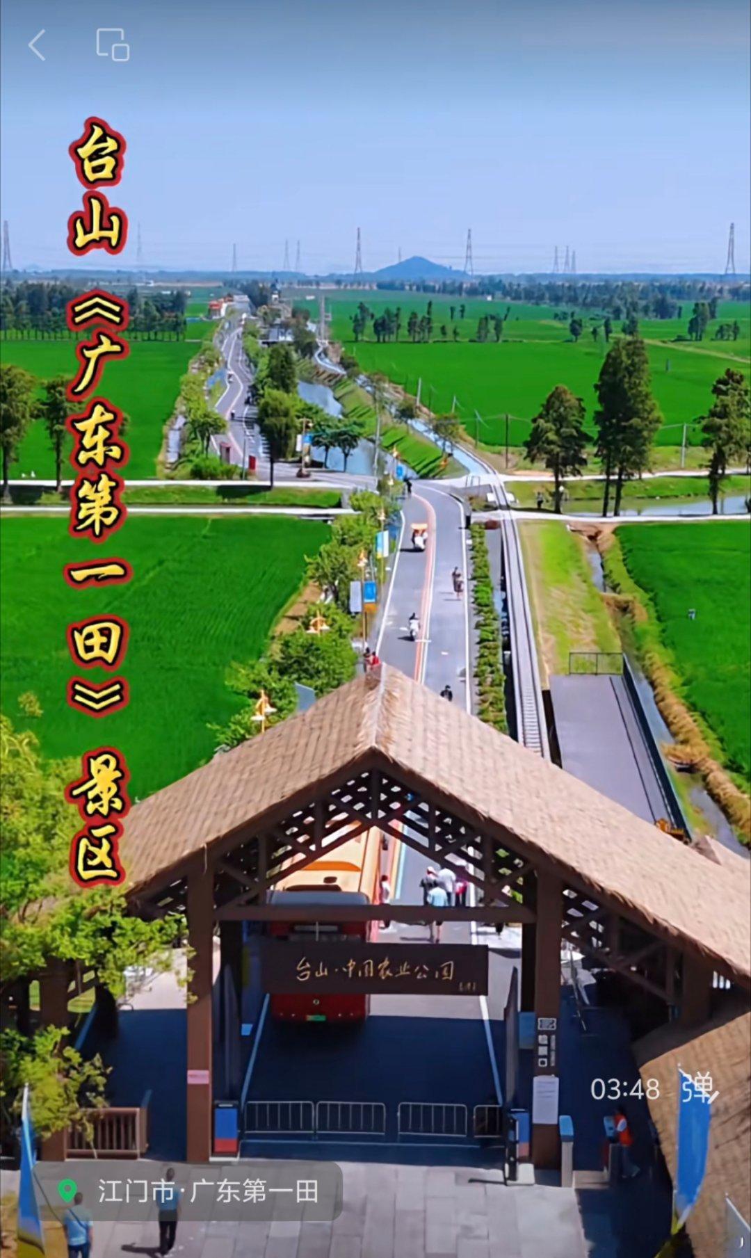珠三角发展纵横观察录 别人家的稻田农文旅——不是一味的咖啡柠檬茶，而是农业科普展