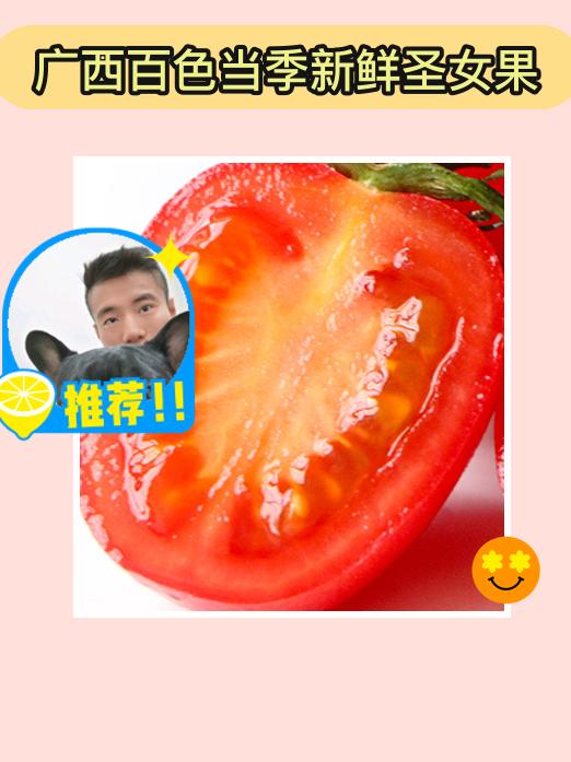 爆炸的水果鲜甜来啦！广西百色当季新鲜圣女果，真的是夏日必备！每一颗都充满了酸酸甜