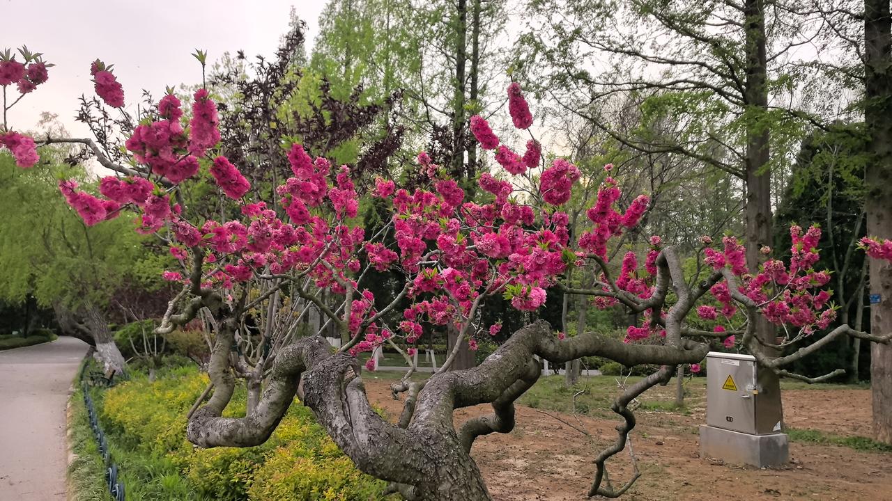 红楼梦里做人的10句话：
1. 世事洞明皆学问，人情练达即文章。
2. 假作真时