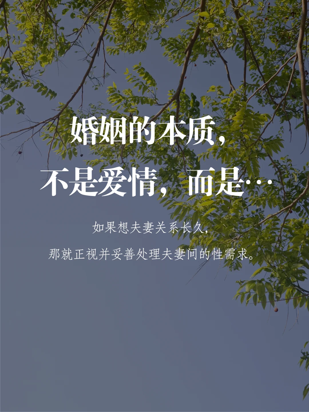 婚姻的本质，不是爱情，而是……