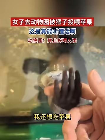 万万没有想到，内蒙古，一女子去动物园看猴，期间就发现一只单独关着的小猴子特别可爱