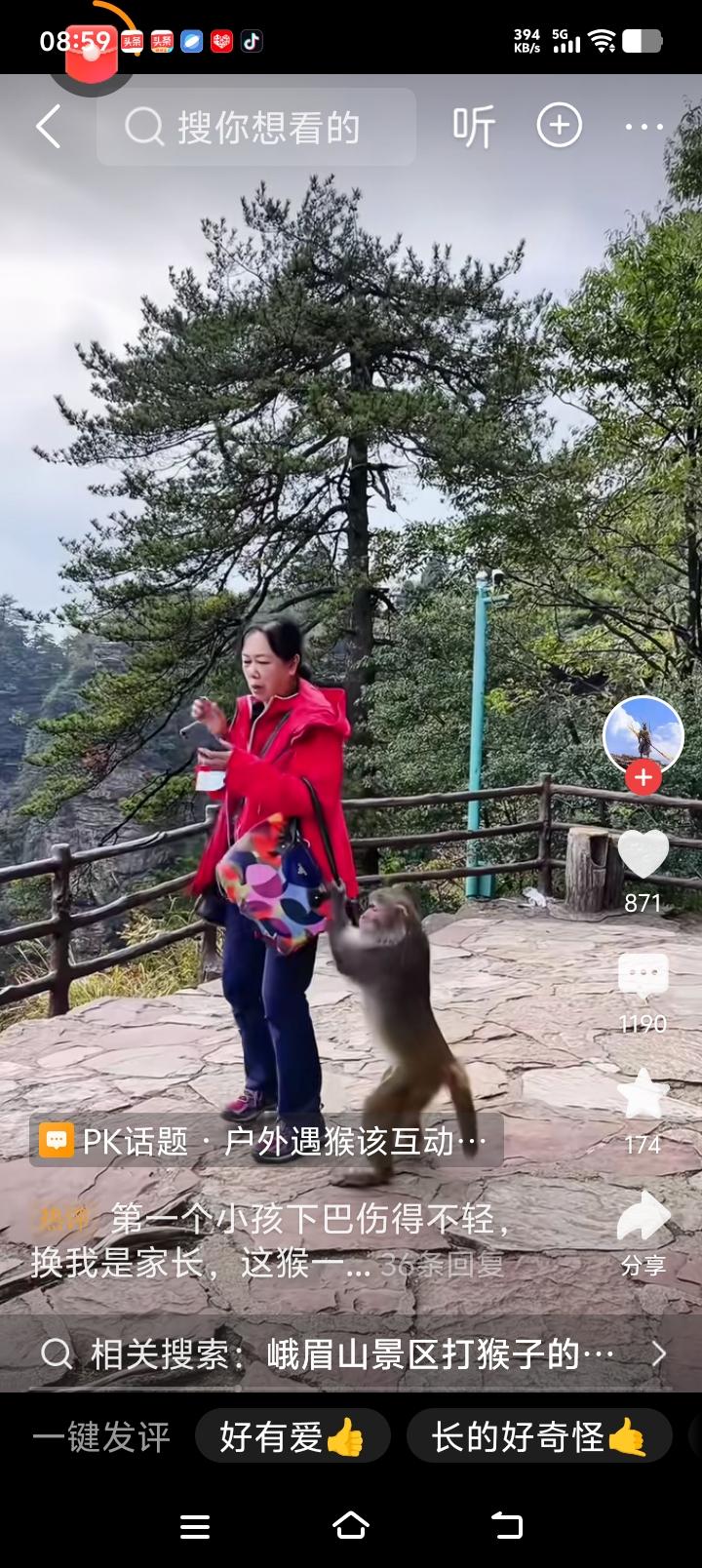 刚才看了一个视频是猴子伤人的合集看得惊心动魄毛骨悚然！

2026年峨眉山多次出