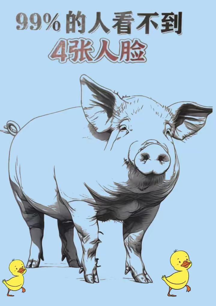 当年刀朗退出歌坛到底谁在打压？