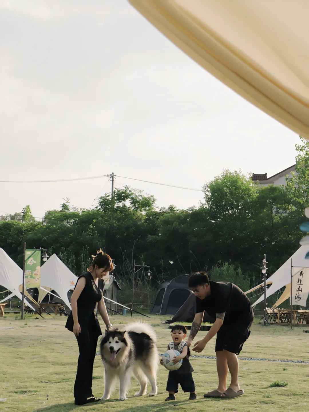 Plog｜让他在这个夏天奔跑吧！