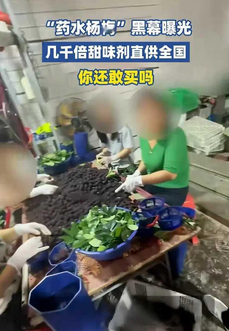 今年杨梅直接“塌房”了！福建杨梅第一镇的黑幕，看得我隔夜饭都吐了！
五月正是杨梅