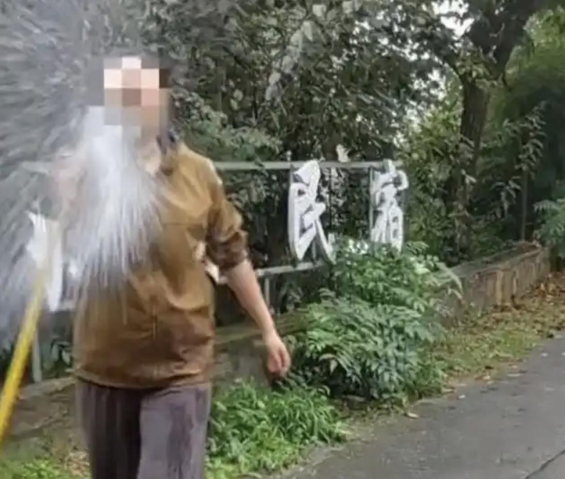 游客在景区的路边捡掉落的板栗壳，却被民宿老板娘诬陷为偷盗，被对方用高压水枪喷射也