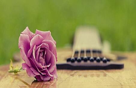 单身率较高的三大星座，总遇不到对的人。双子座：双子很渴望恋爱，却总是不如愿，每次