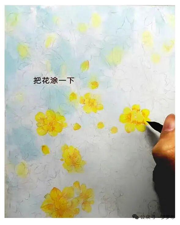随手拍的花分享[耶][比心]
