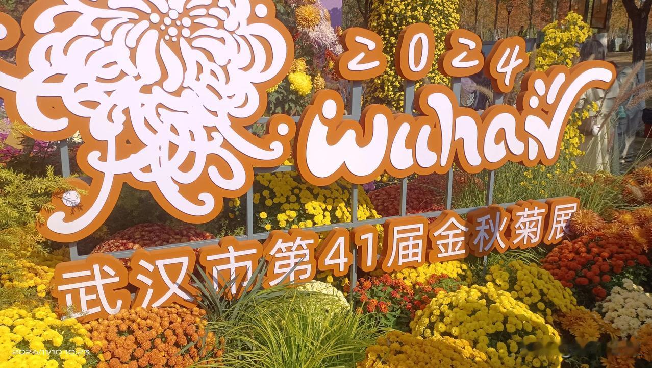 秋高气爽，是赏花的好时节，一年一度的武汉菊花展再次举办，不是花中偏爱菊，此花开尽
