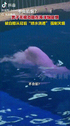 太解气了！海洋馆里有个男子抽烟，工作人员劝了好几次都不听，没想到白鲸直接从背后喷