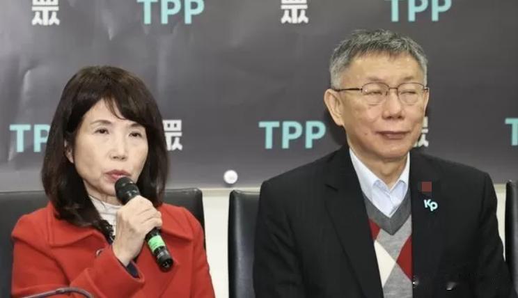 不满陈昭姿未辞立委  林国成：“考试不及格的要留任”这什么逻辑？

民众党不分区