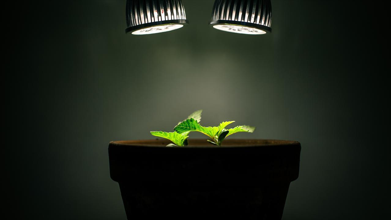 一位哲人说：
人这一生只有一次体验卡，别活得太潦草。
很多人嘴上都在说一句话：