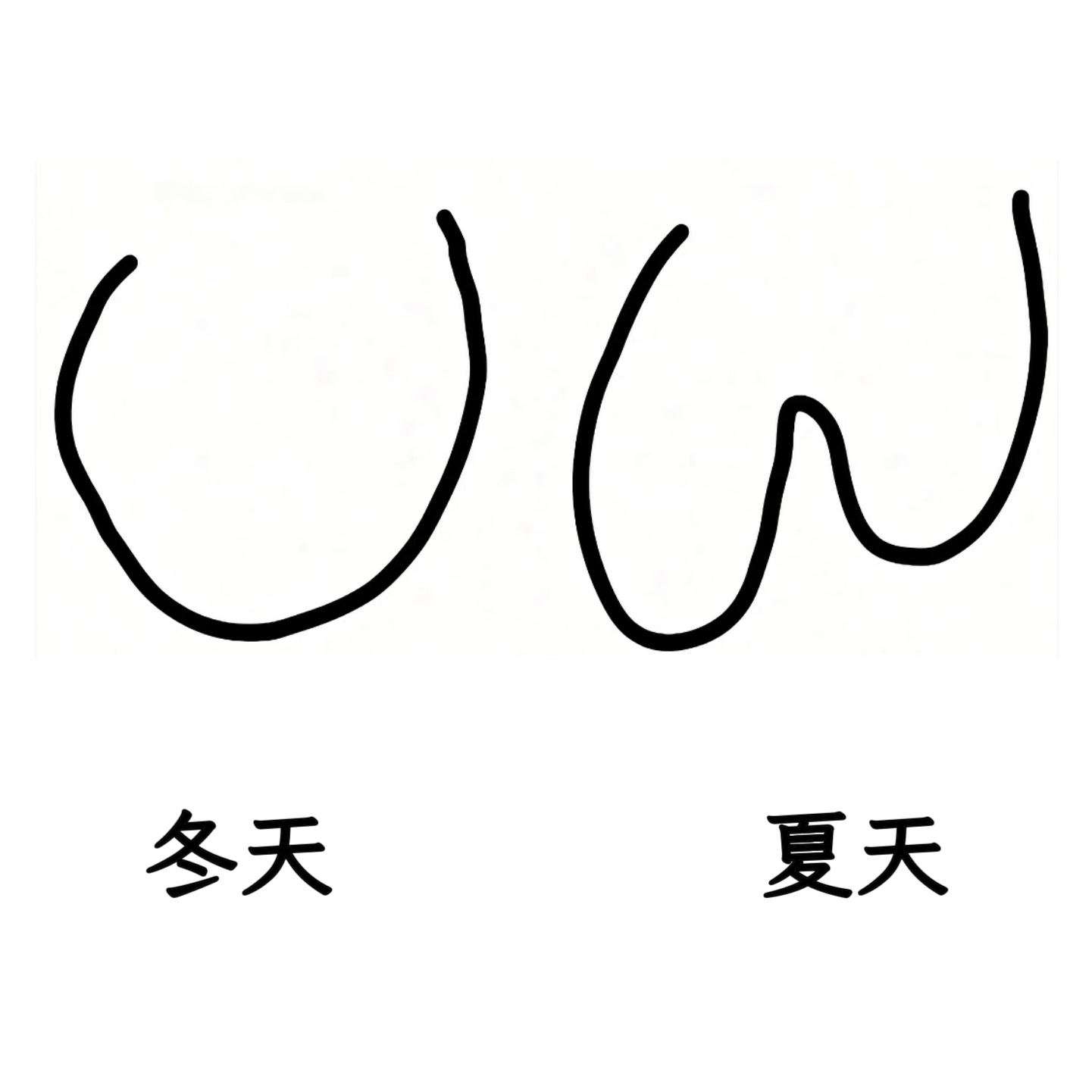 谁懂memes ​​​