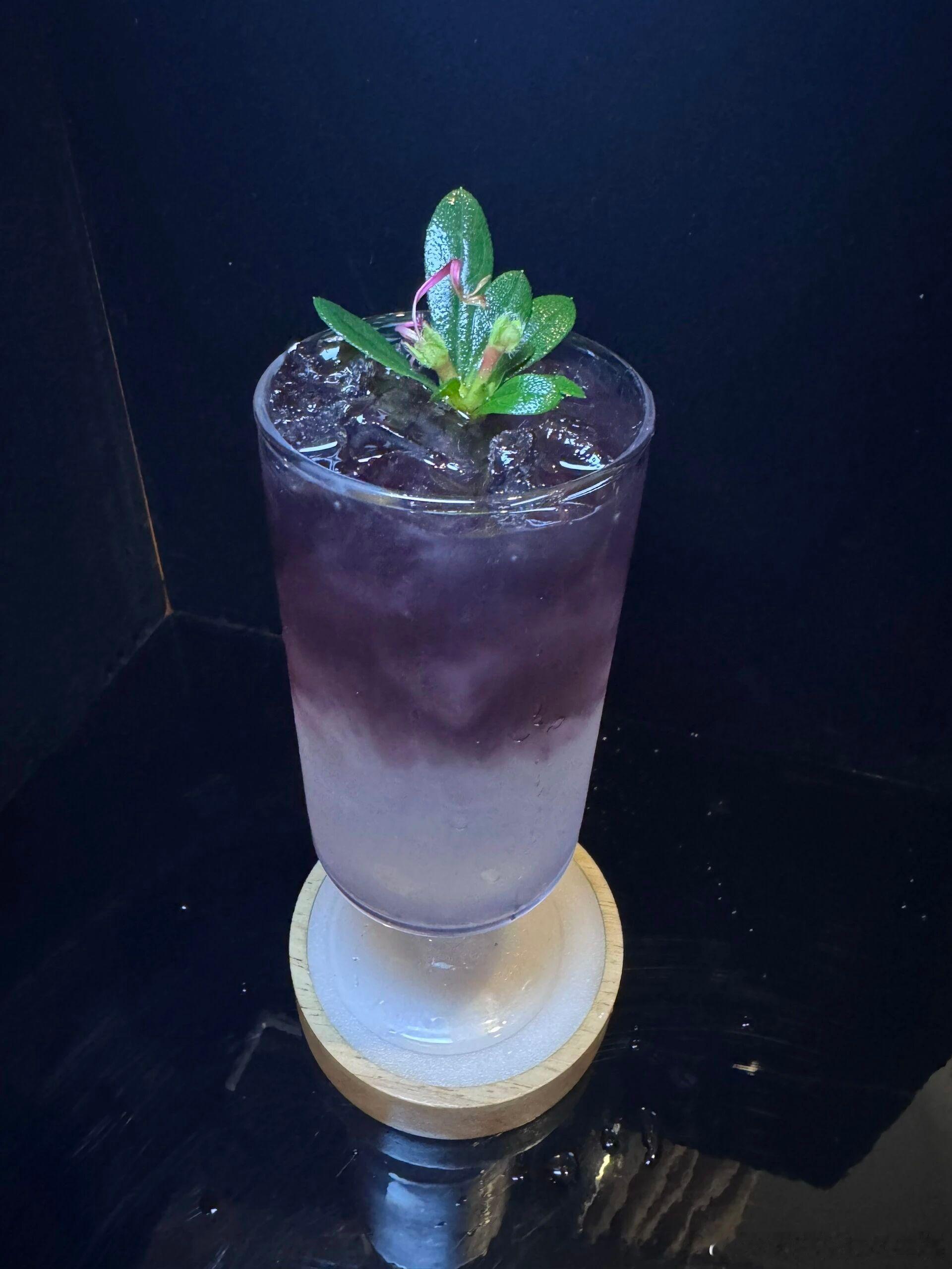 生活手记夜色沉寒，独对孤樽，杯中清酒入喉，半点暖意皆无，只剩满心凉薄。往日欢聚皆