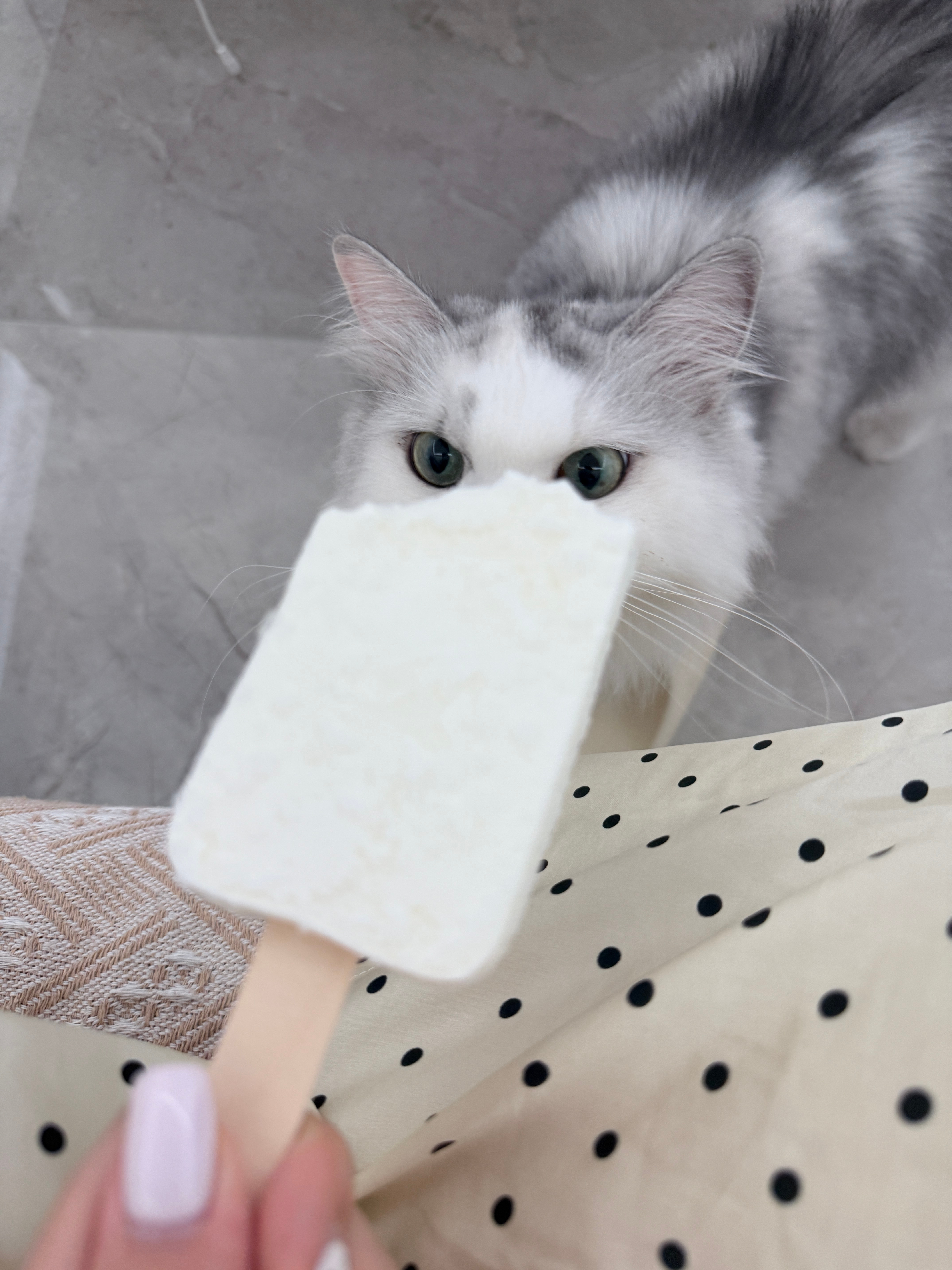 我在看电视 ​​​