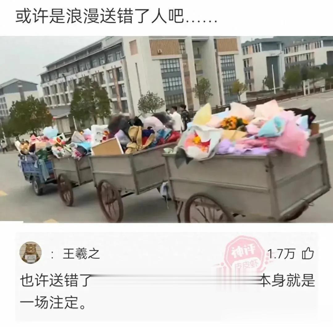 我连垃圾都不如[流泪]，就连它们都收到了花