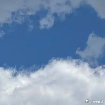 每日一善阳光信用 熊猫守护者 从“僵卧孤村不自哀，尚思为国戍轮台”“一寸丹心图报