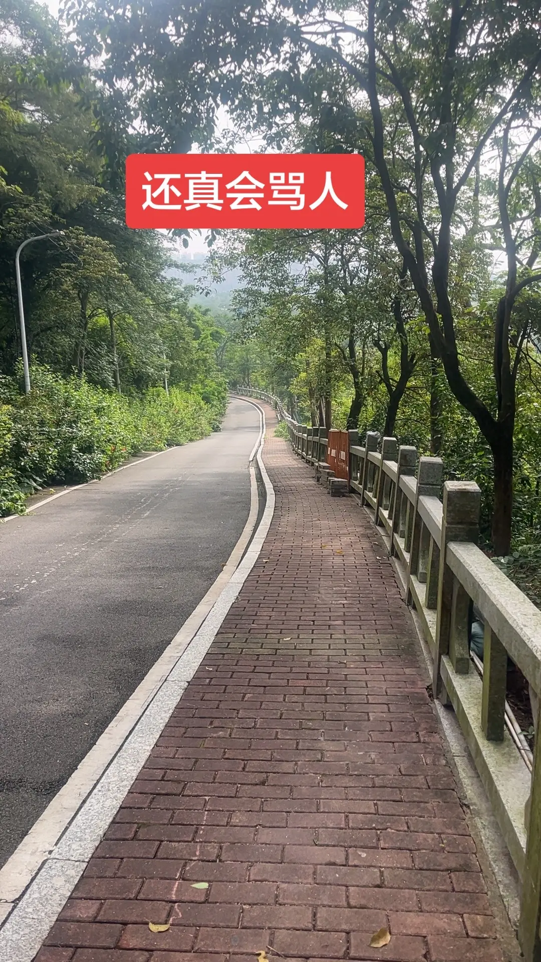 城市一角山的自然风景