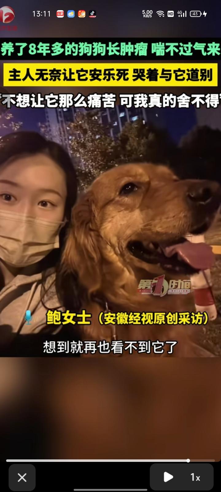 10月27日，安徽淮南。网友发视频表示，自己养了八年的狗狗长肿瘤，切除后转移到淋