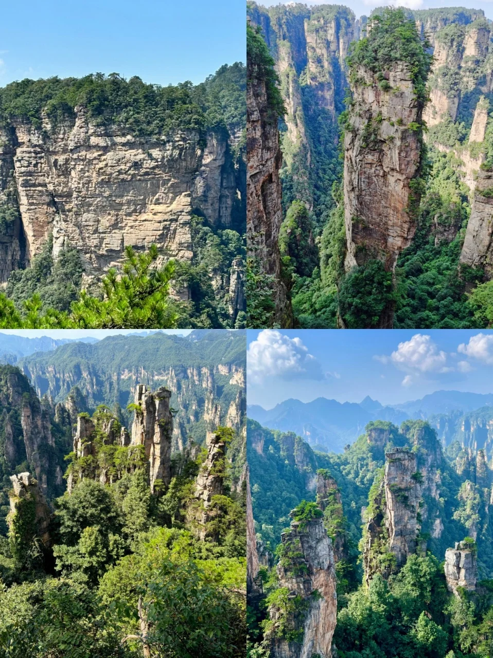 张家界3天2晚自由行旅游|打卡经典路线