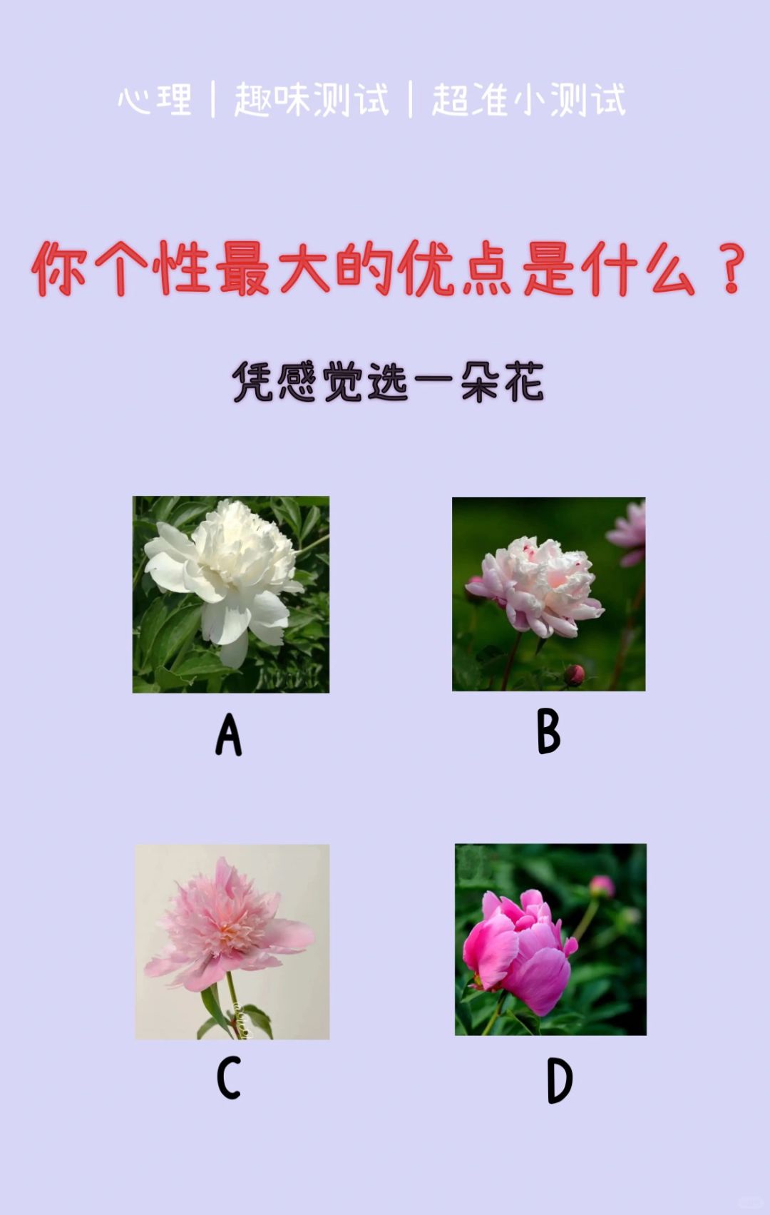 🔥测试｜你个性当中最大的优点是什么？