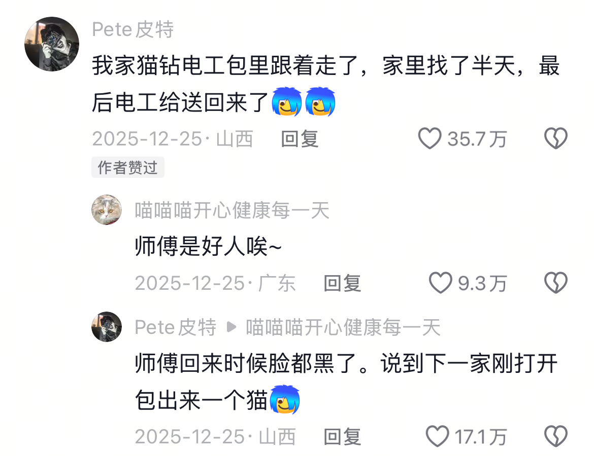 宽带师傅和猫咪的爱恨纠葛！师傅上门干活，被猫全程 “监工”。动物奇遇记
