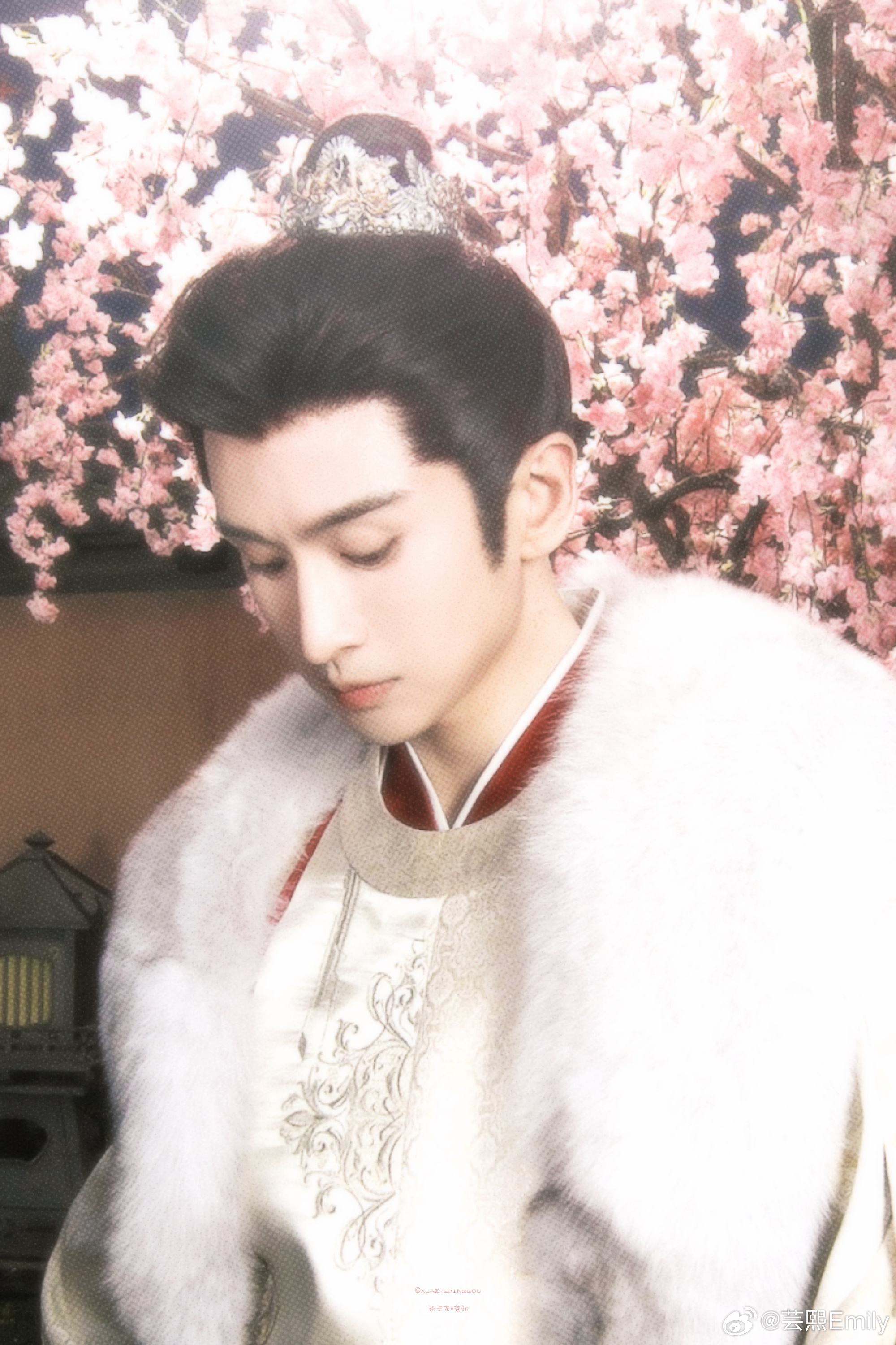 张云龙楚翊 zyl 张云龙云初令樱花树下花美人更美，一眼入魂。这是什么古言小说里