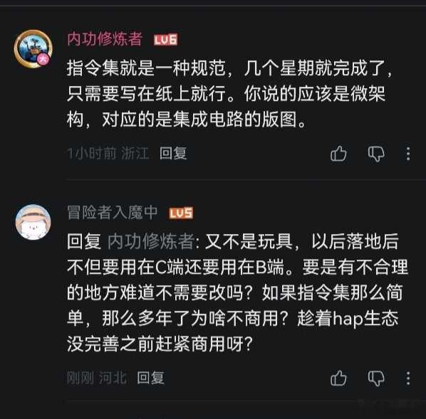 指令集就是一种规范，几个星期就完成了，只需要写在纸上就行。这种言论真无知到极点！
