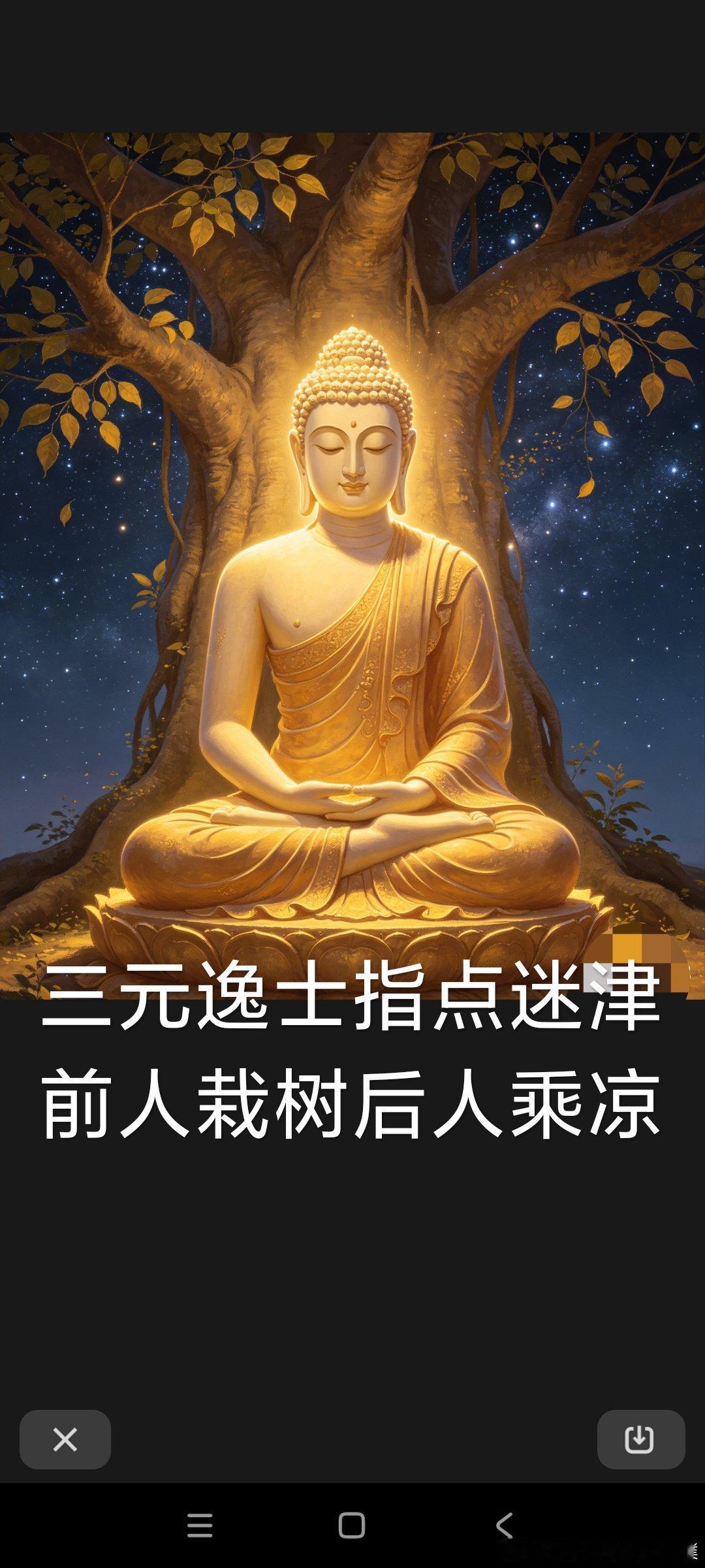 所有的福报，都来自于你的慈悲，不要怀疑因果，你能看到的，只是今生，但它却穿越了前