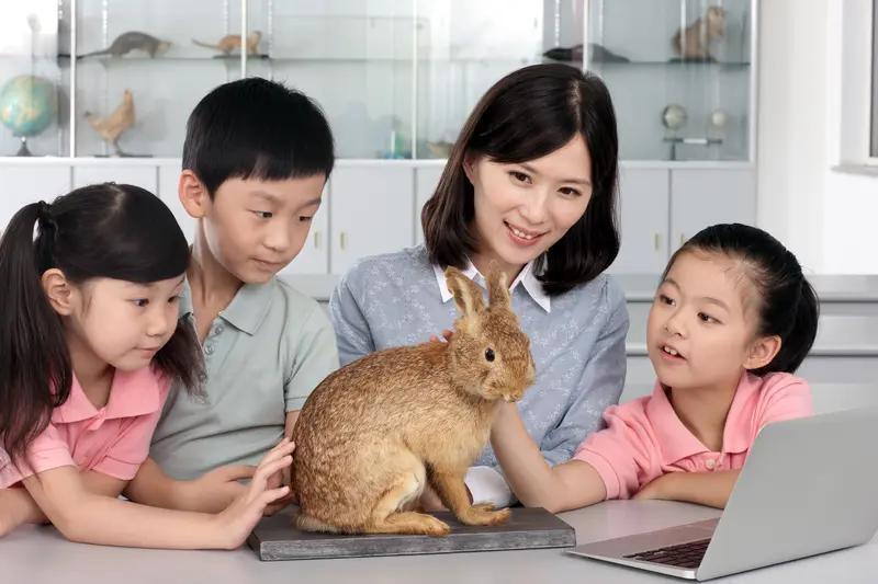 多地扩大免费教育范围的初步探索，真是个超棒的事儿！党的二十届四中全会提出“探索延