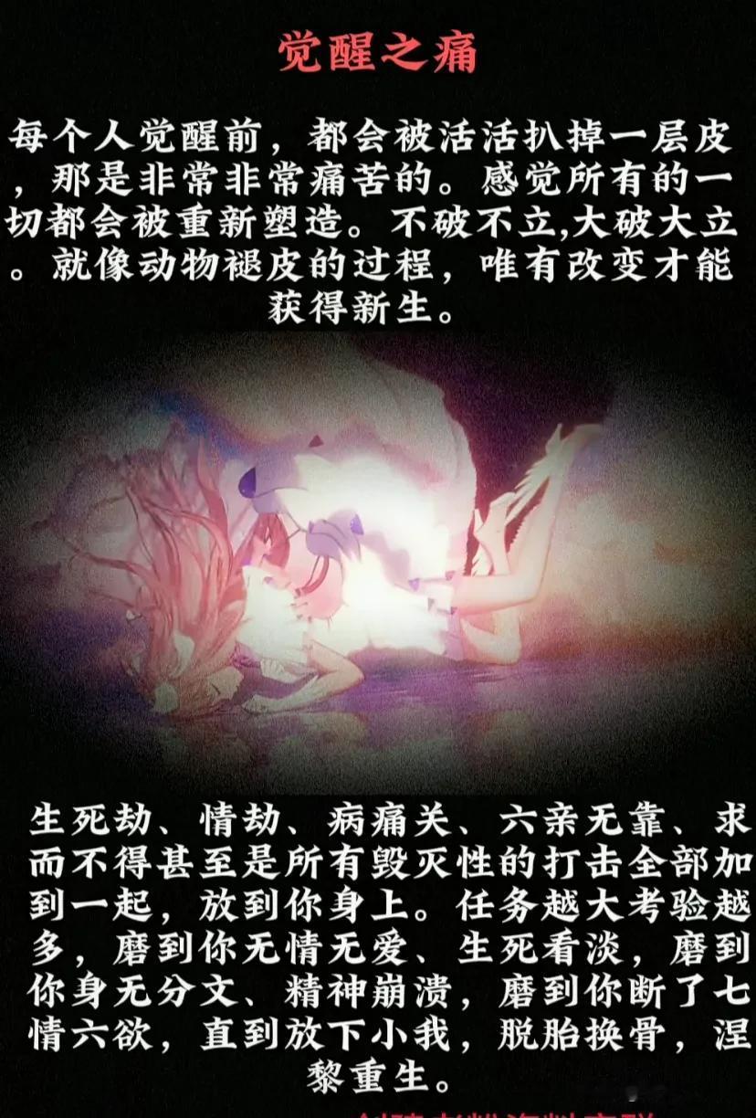 
你的孤独，虽败犹荣。

#国学# #升维#